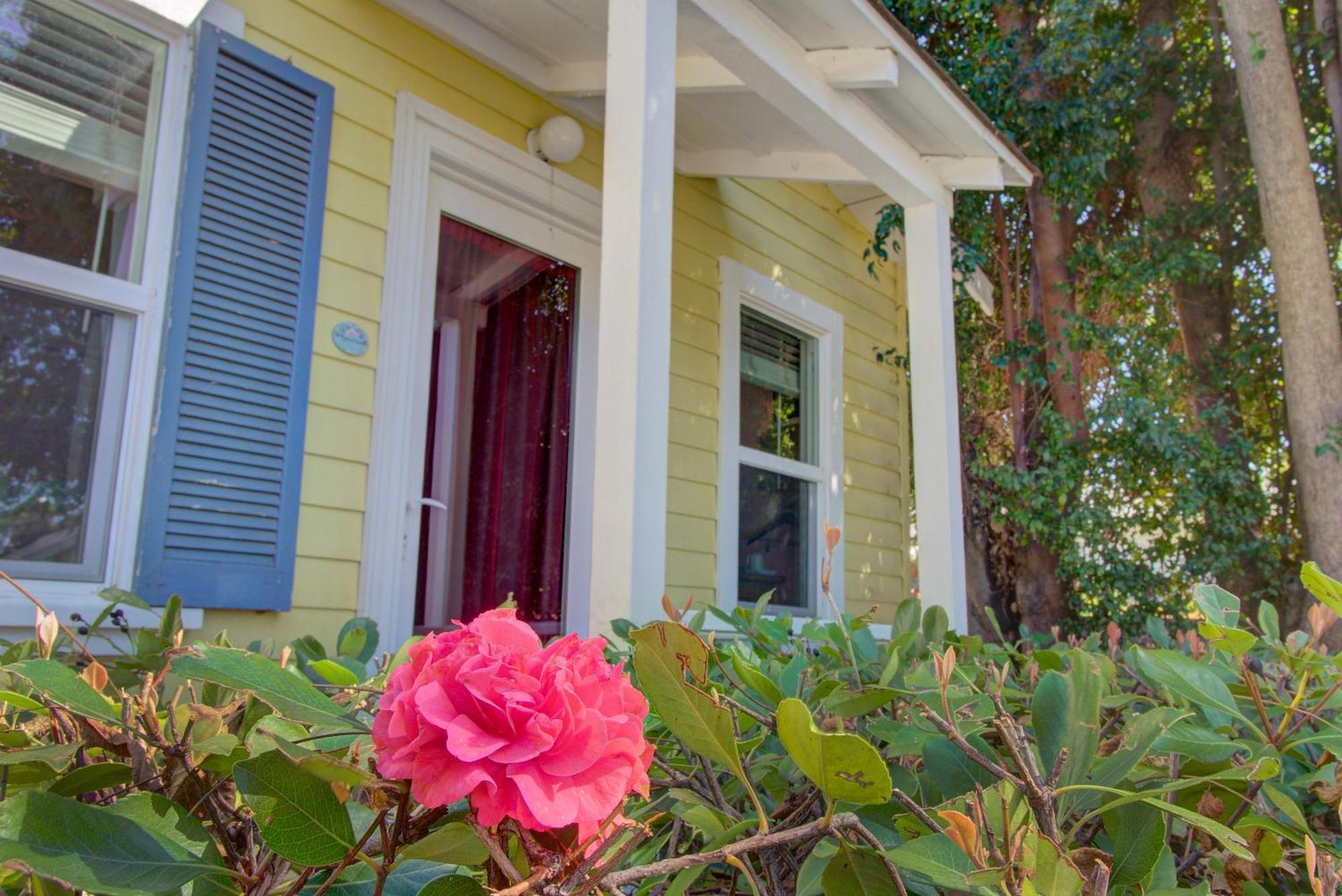 Secret Garden & Bed and breakfast